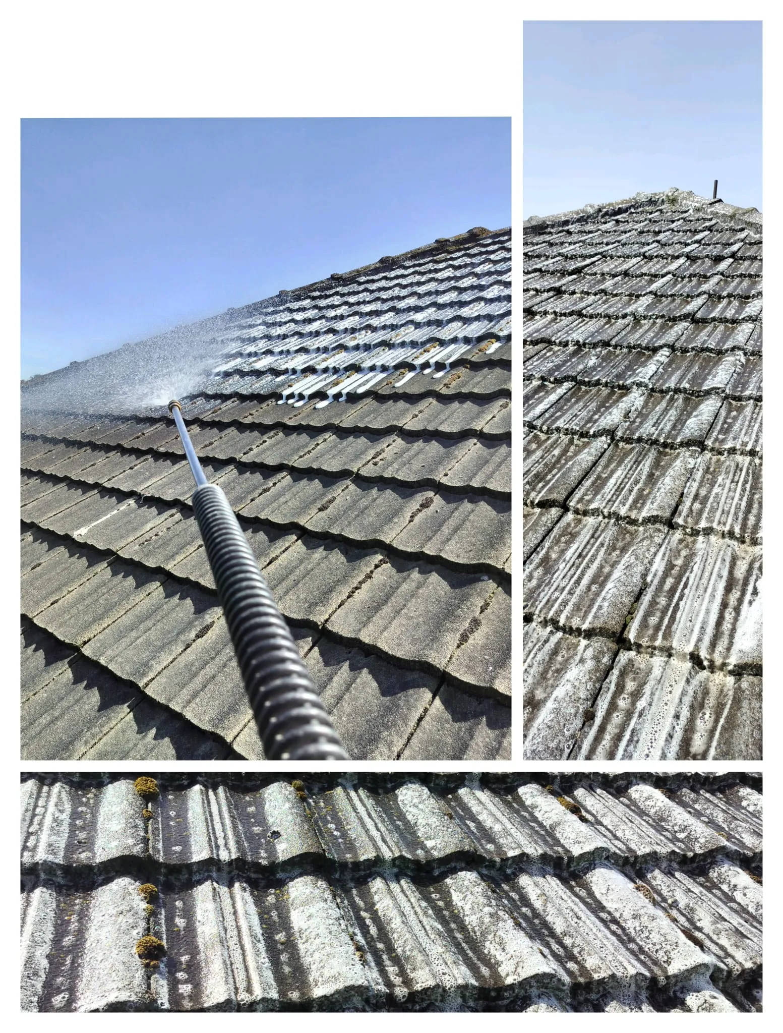 Roof Washing & Lichen Removal Professional Exterior Cleaning Roof Washing & Lichen Removal service by Rise & Shine Water Blasting